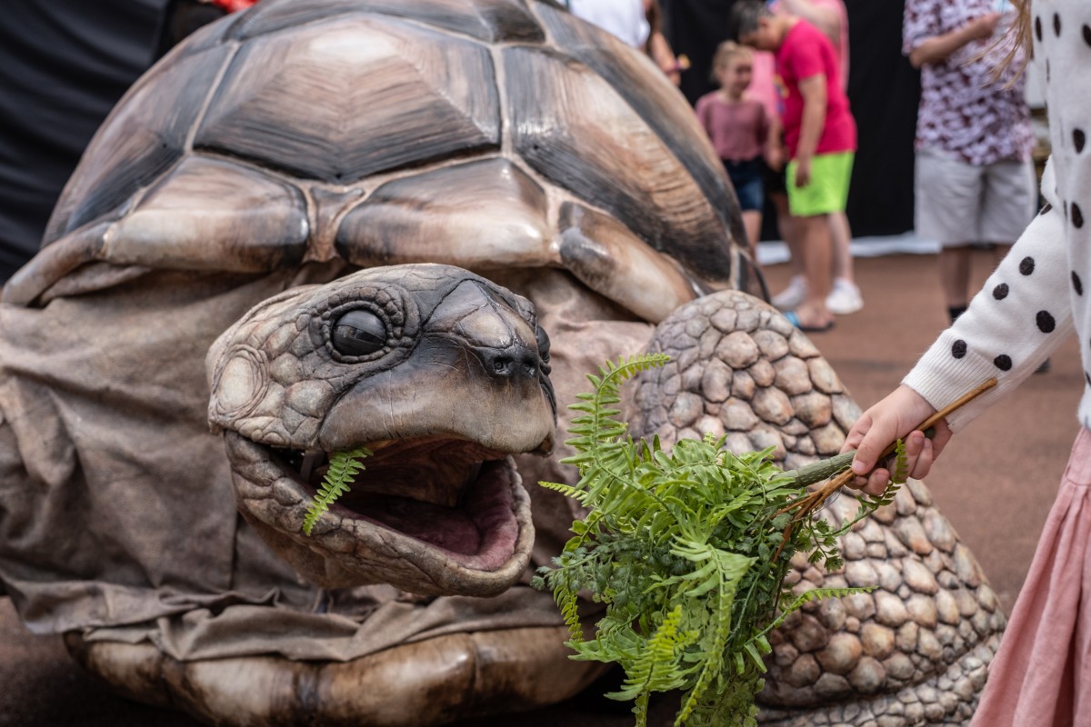 What The Tortoise Taught Us @ Newcastle Puppetry Festival